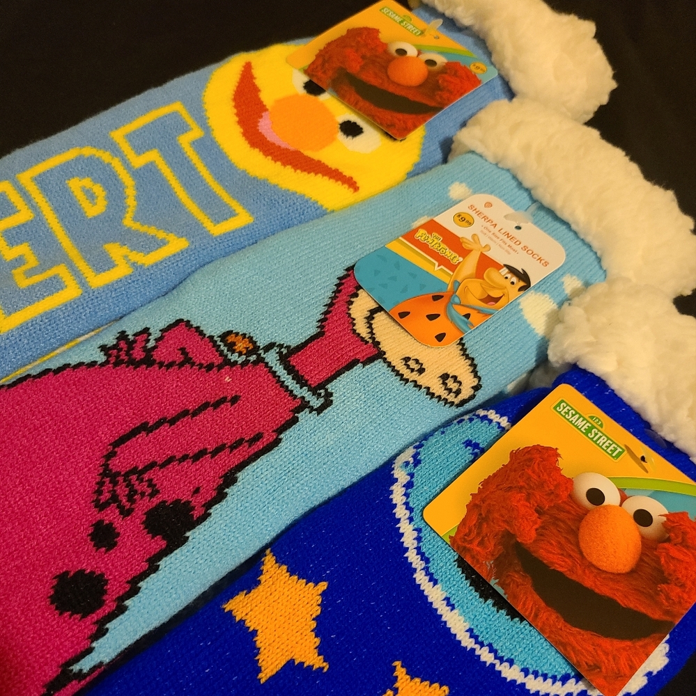 Sesame Street Character Slipper Set